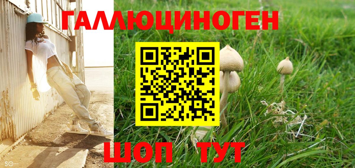 Галлюциногенные грибы GOLDEN TEACHER  Вход с VPN  Губкинский 