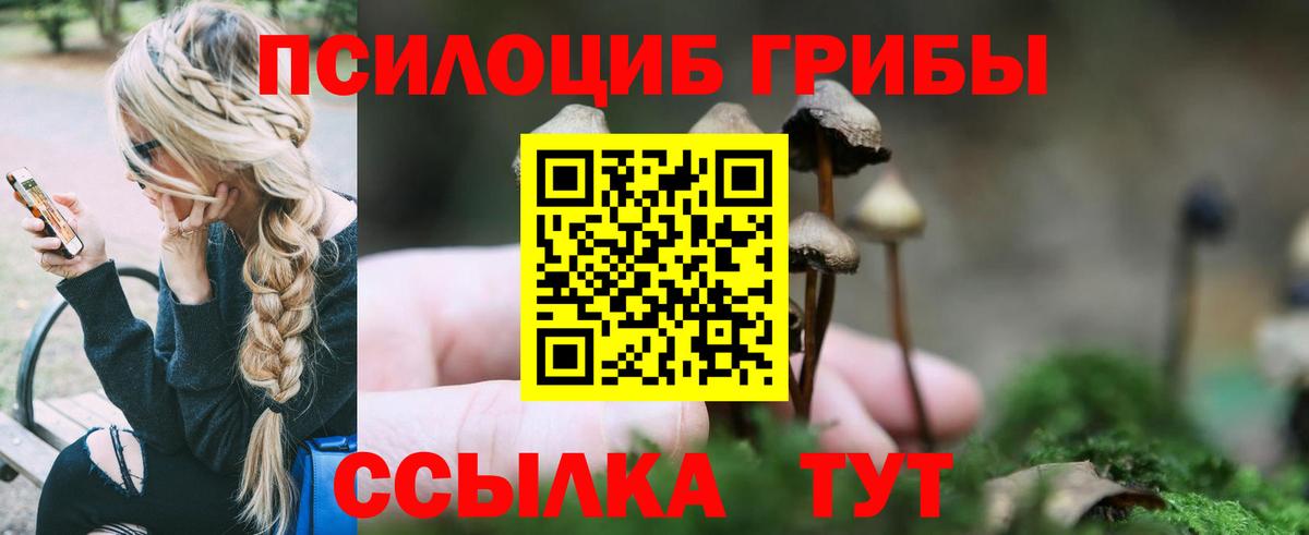 Галлюциногенные грибы GOLDEN TEACHER Губкинский
